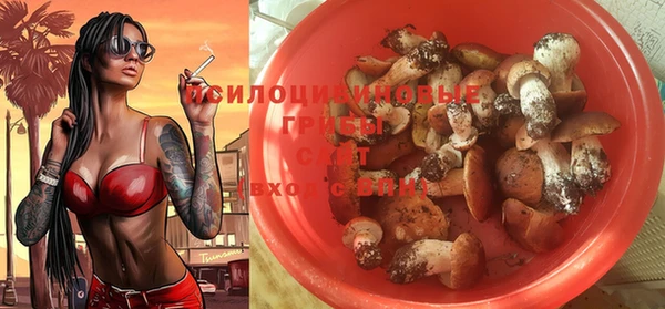 первитин Абаза