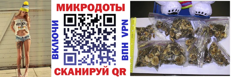 MEGA как войти  Октябрьский  Галлюциногенные грибы Cubensis 